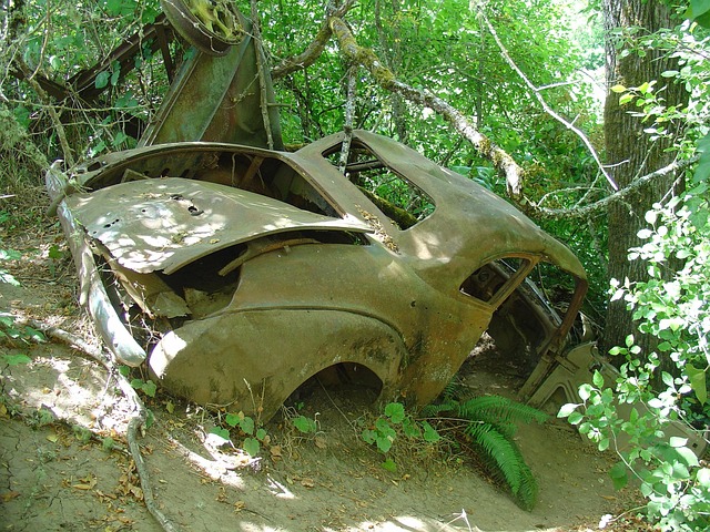 Collision Coverage