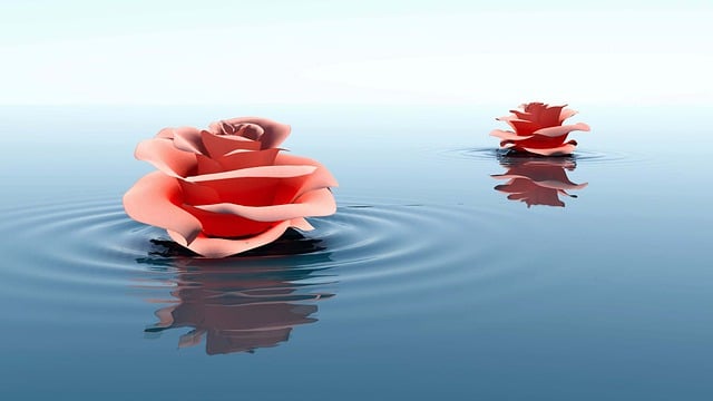Comprehensive Med Spa Services