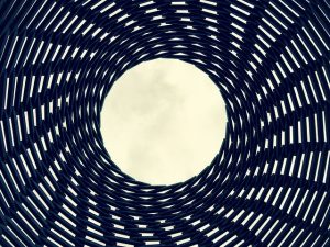 Concrete Foundation Solutions: Experts Ensure Structural Integrity & Longevity