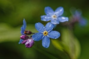 Delta-8 THC: Local Solutions for Effective Appetite Support