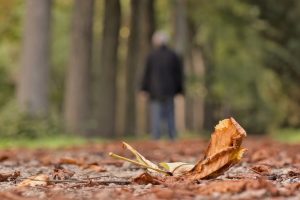 Cognitive Therapy for Depression: Effective Strategies from Depression Therapists
