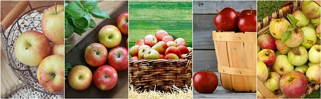 doctor-supervised weight loss programs