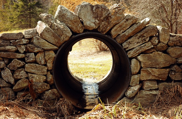 Drain Cleaning