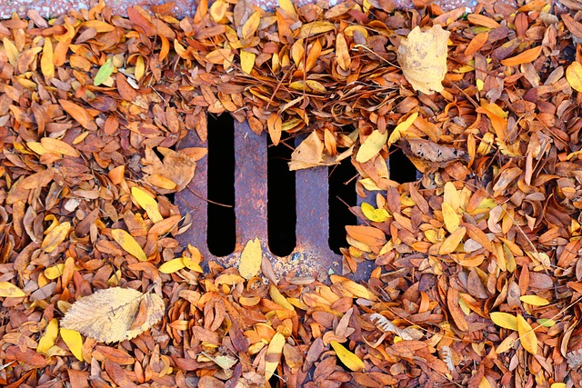 drain cleaning services