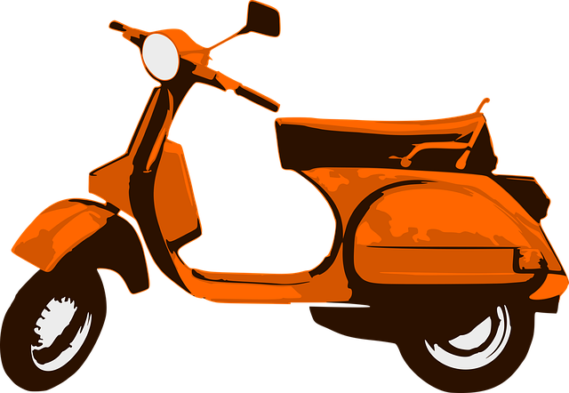 electric scooters for adults