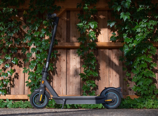 electric scooters for adults