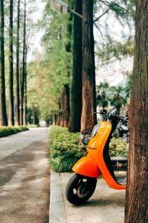 electric-scooters-for-adults-640x480-61247028.jpeg