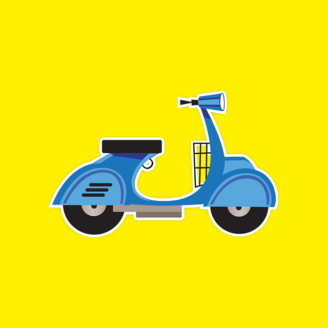 electric scooters for adults