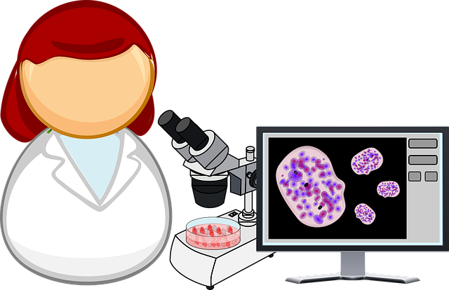 Fat Cell Freezing