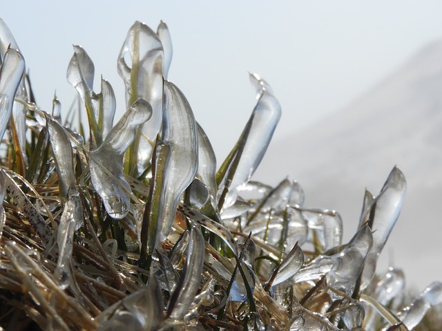 Fat Cell Freezing