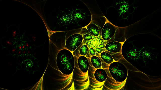 Fat Cell Freezing
