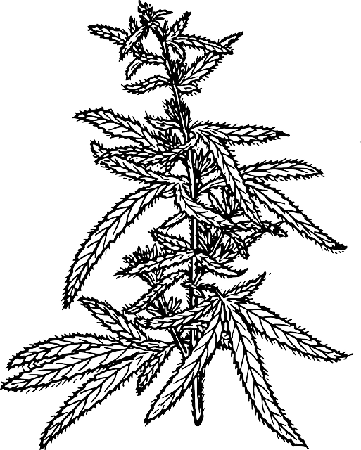 Hemp Terpenes for Sale