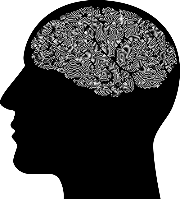 holistic mental health
