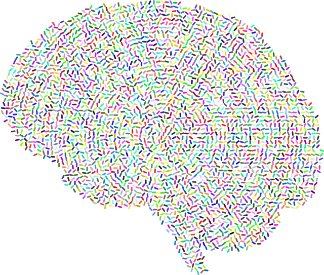holistic mental health