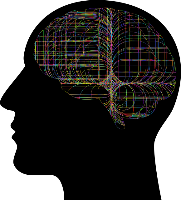 holistic mental health