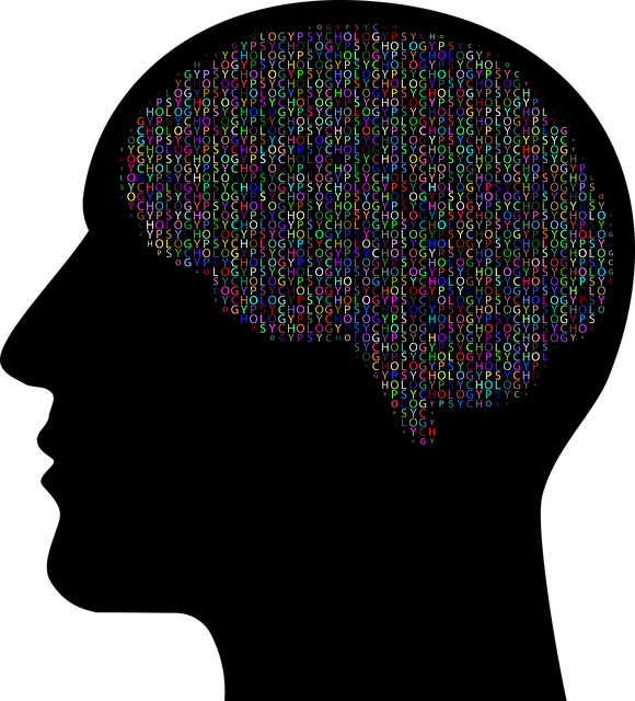 holistic mental health