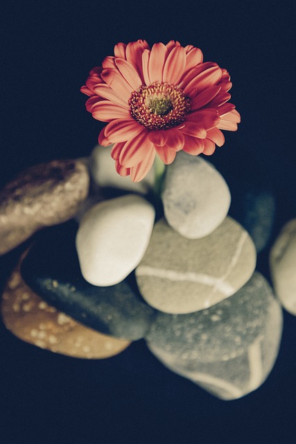 Holistic Spa
