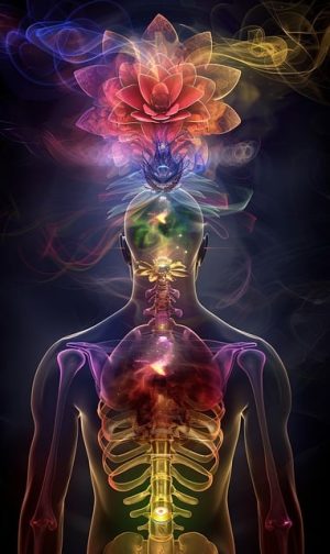 Unleash Total Wellness: The Comprehensive Guide to Holistic Spas