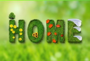 Sustainable Home Protection: Roofing & Siding Repair Solutions