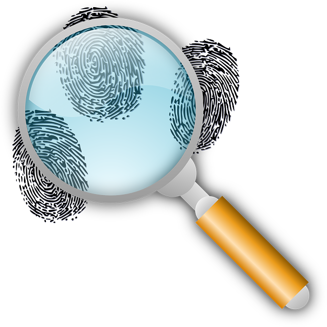 Improve Organic Search Rankings