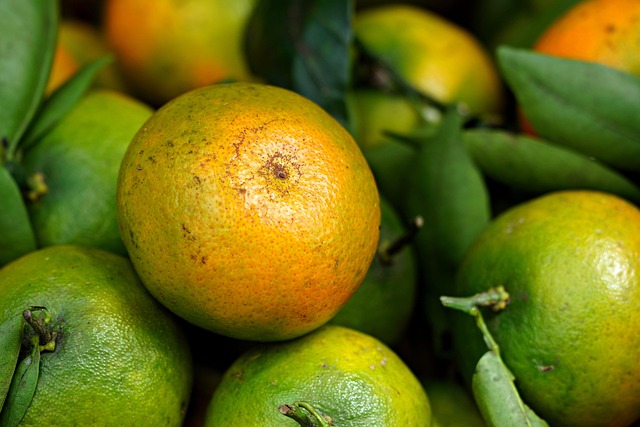Improve Organic Search Rankings
