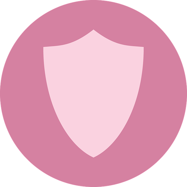 Insurance Policies for Home-Based Businesses
