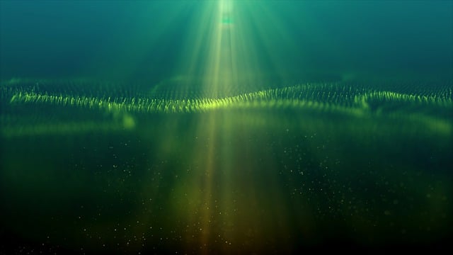 Laser Skin Treatments