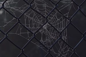Unveiling Latest Web Design Trends Shaping 2024 User Experiences