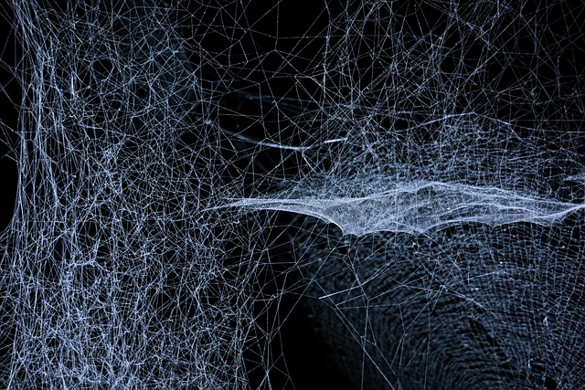 latest web design trends