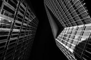 Mastering Link Building: Professional Services for Digital Success