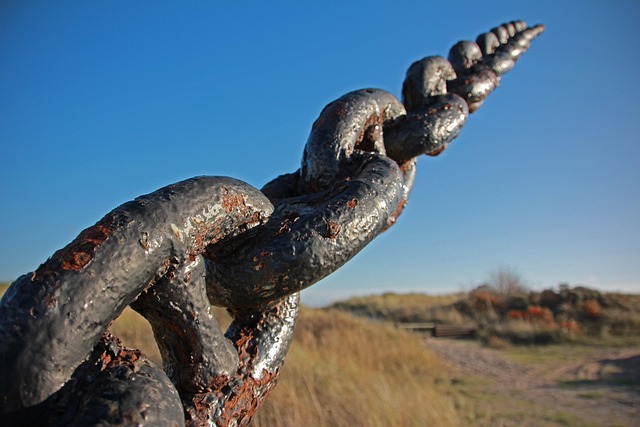 Link Building