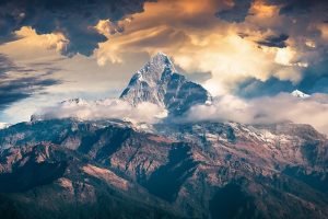 Marketing Leadership Summit: Unlocking Business Growth Through Engagement Strategies