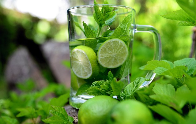 Mint Flavored CBD Tincture