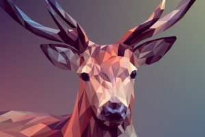 Mastering Mobile-Friendly Design: Optimizing User Experience and Website Performance