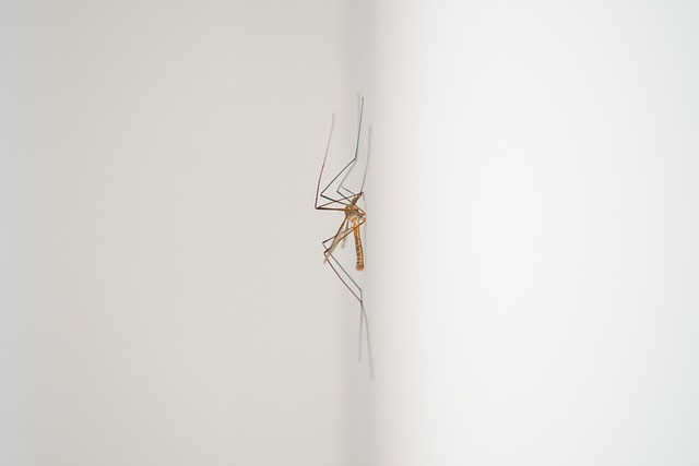 mosquito and tick control
