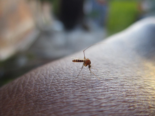 mosquito and tick control