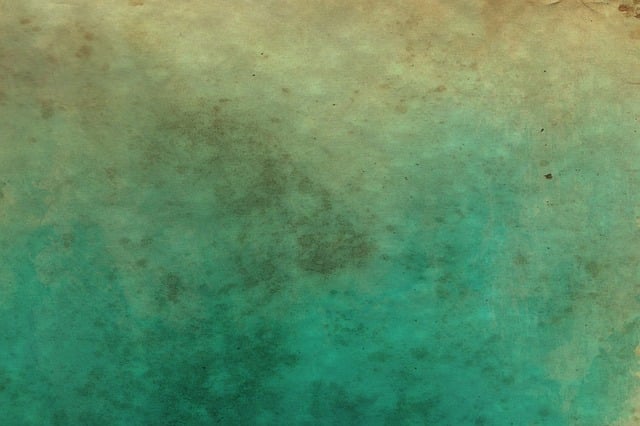 Natural Solutions for Cleaning Dirty Grout