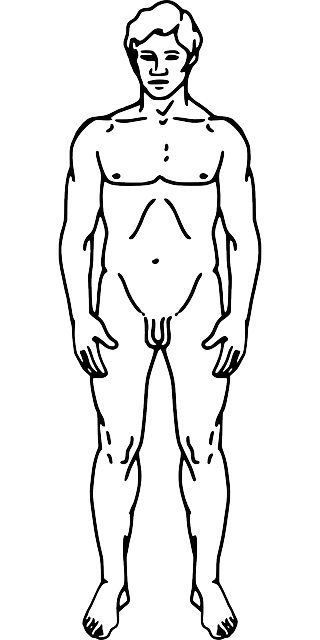 Non-Surgical Body Contouring
