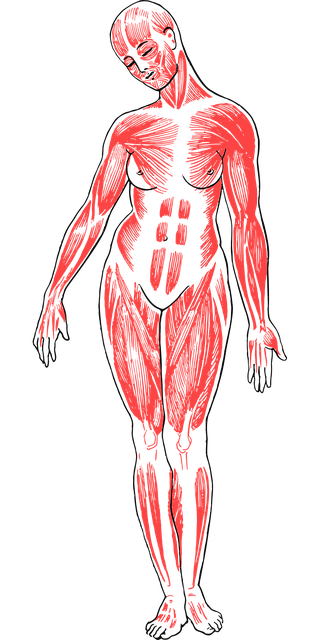 Non-Surgical Body Sculpting