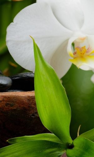 Non-Surgical Spa Revolution: Trends, Benefits, and Future of Cosmetic Wellness