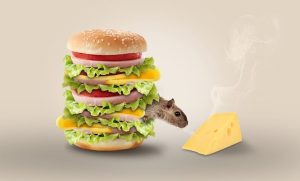 Professional Odor Removal: Advanced Solutions for Commercial Spaces