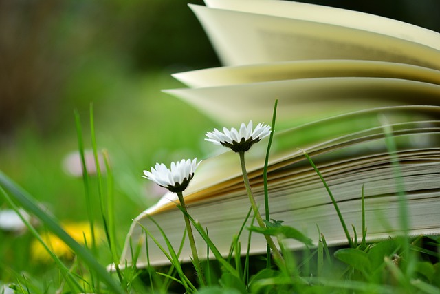 On-Page Optimization Training