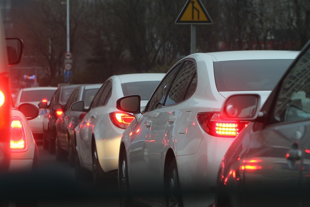 Organic Traffic