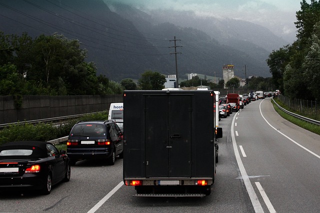 Organic Traffic