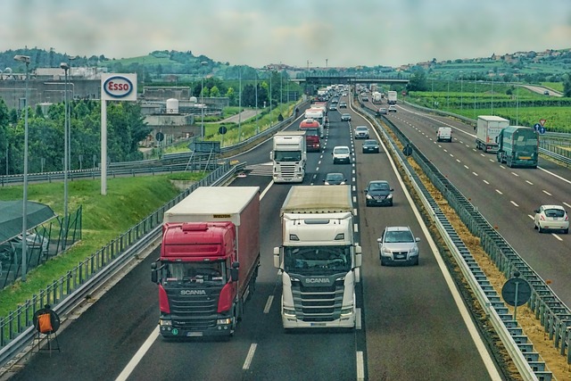 Organic Traffic