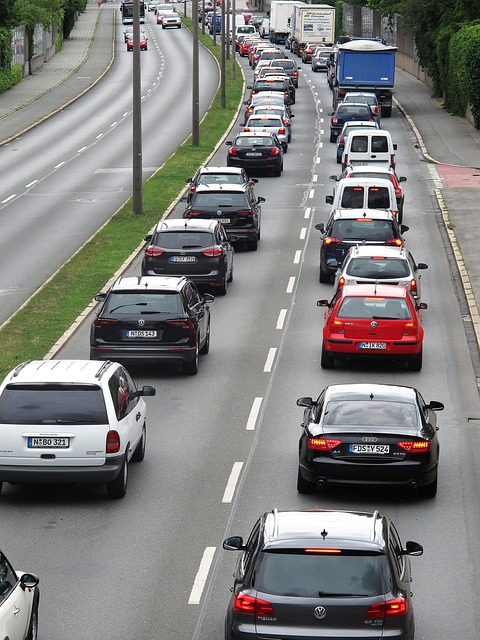 Organic Traffic