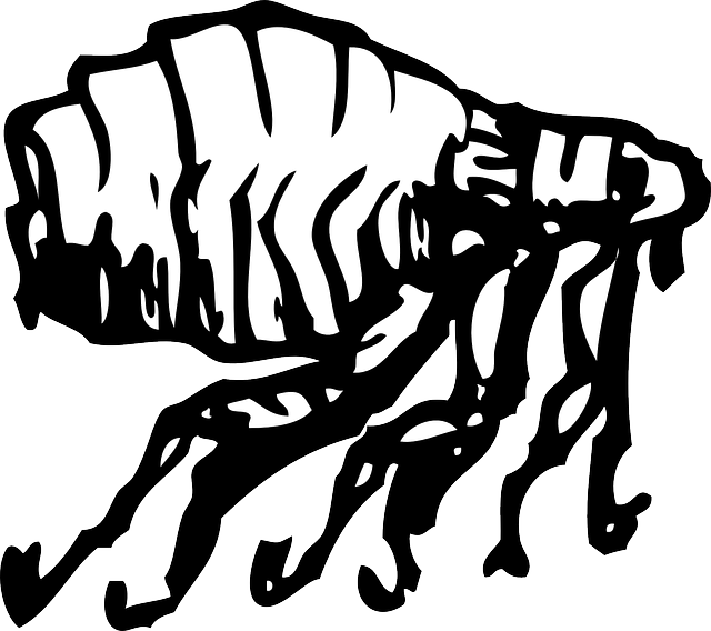 pest exterminator