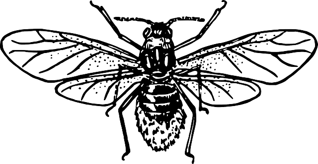 pest exterminator