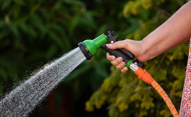 Pipe Repair