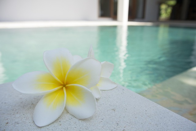 Premium Med Spa